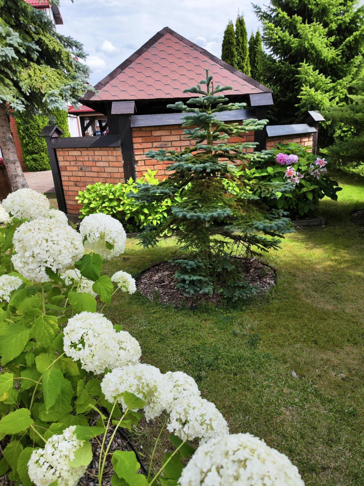 Bed and Breakfast Michalek W Rowach Rowy  Exteriér fotografie