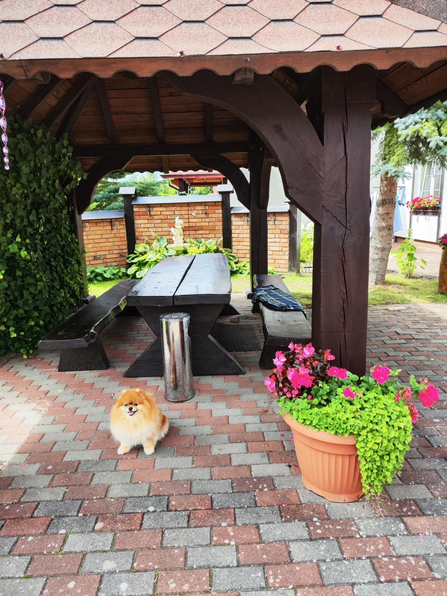 Bed and Breakfast Michalek W Rowach Rowy  Exteriér fotografie