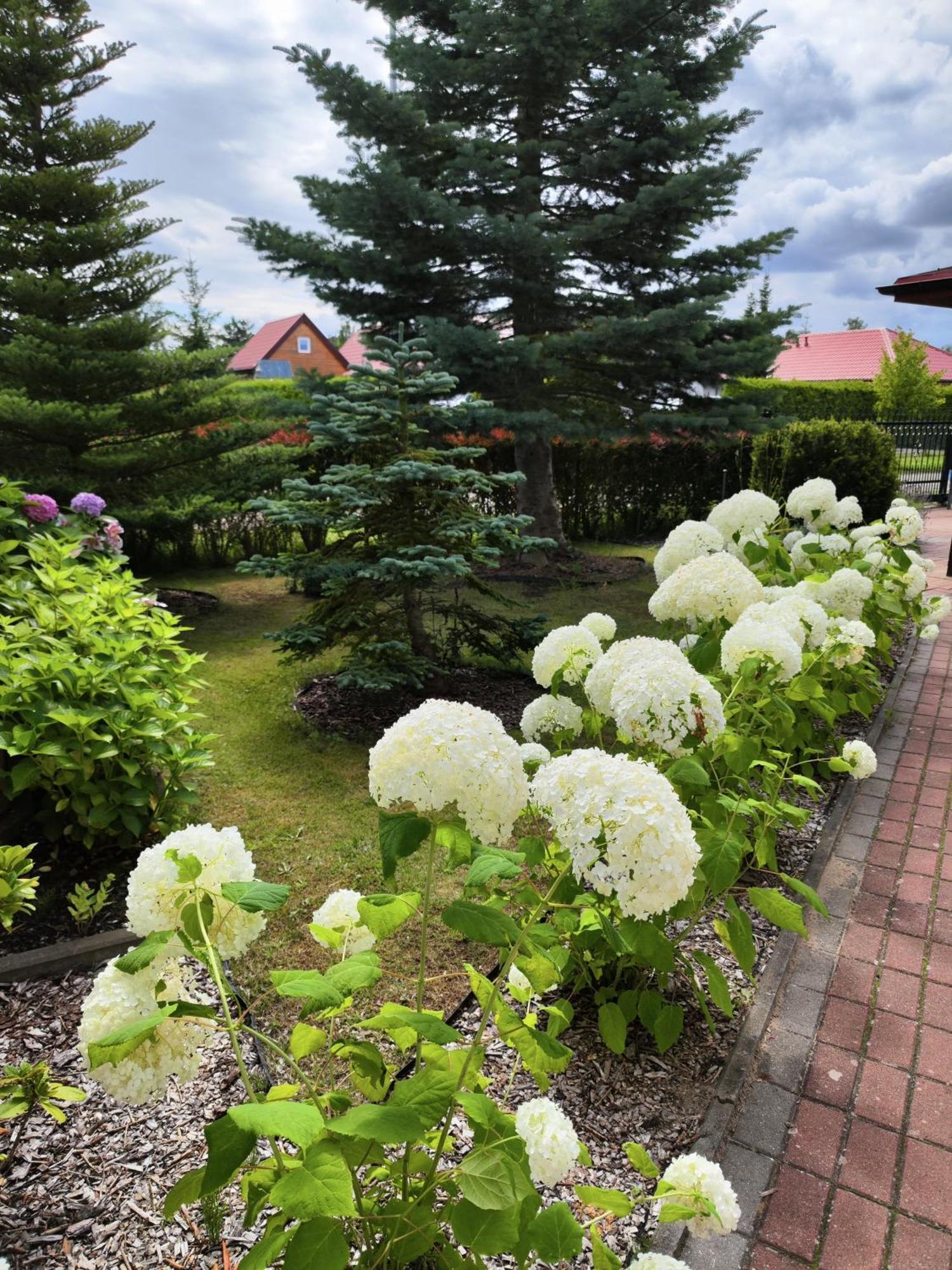Bed and Breakfast Michalek W Rowach Rowy  Exteriér fotografie